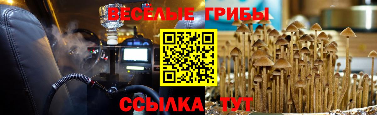 Галлюциногенные грибы Cubensis  Вход с VPN  Якутск  Псилоцибиновые грибы MAGIC MUSHROOMS 